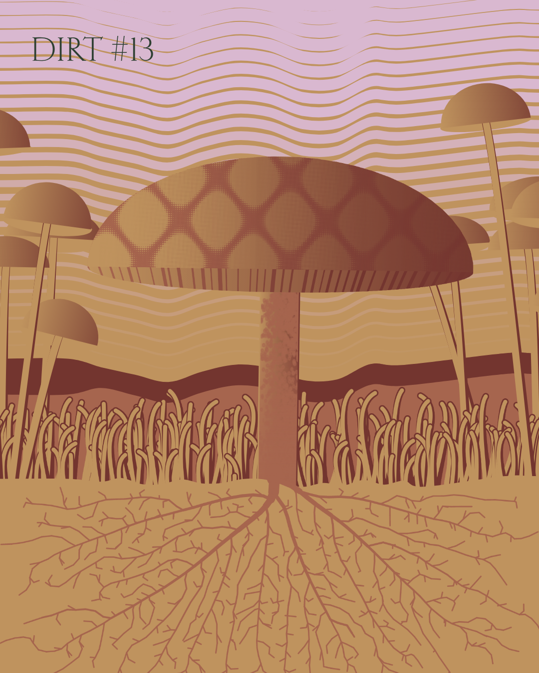 Dirt Founder #13