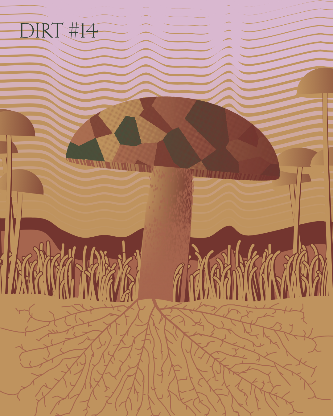 Dirt Founder #14