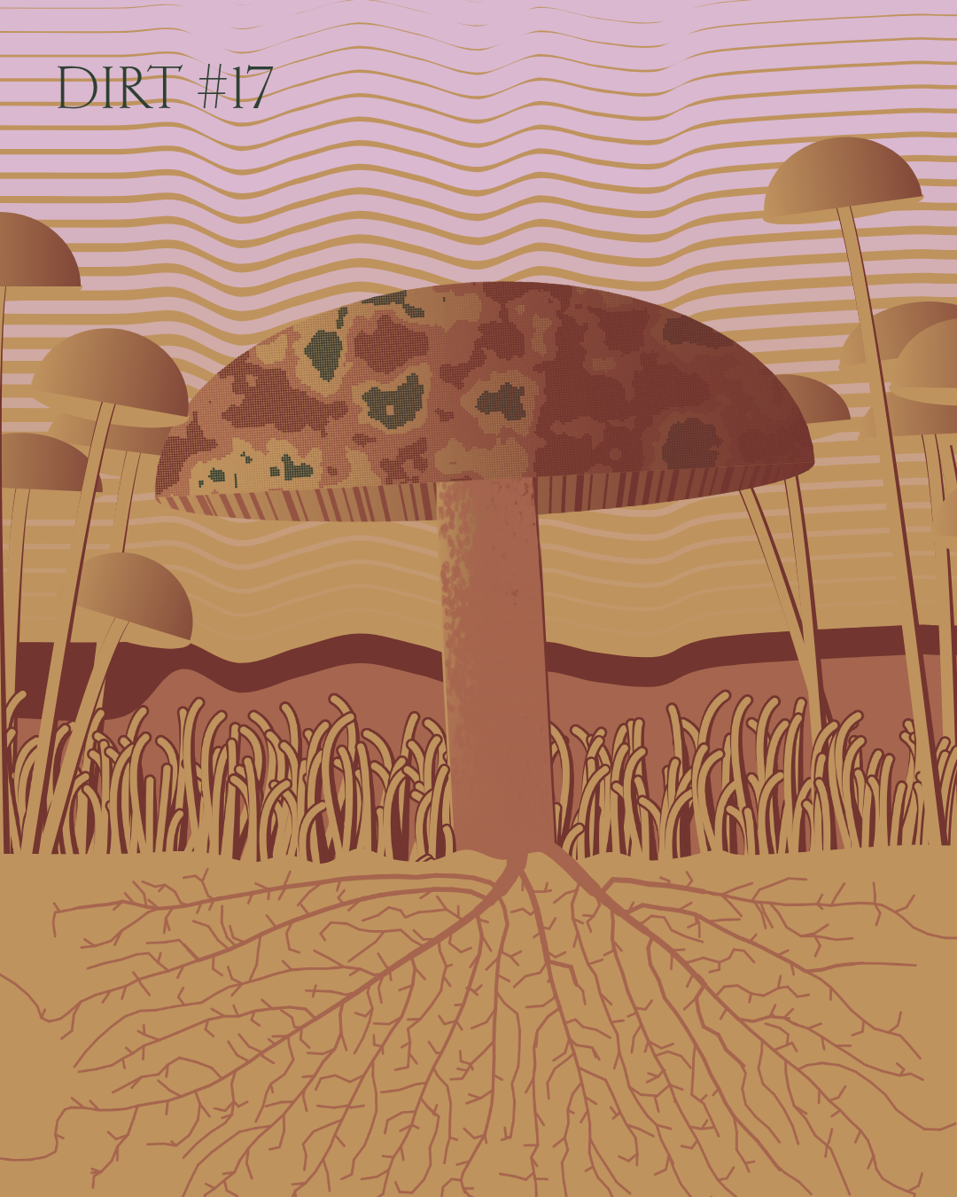 Dirt Founder #17