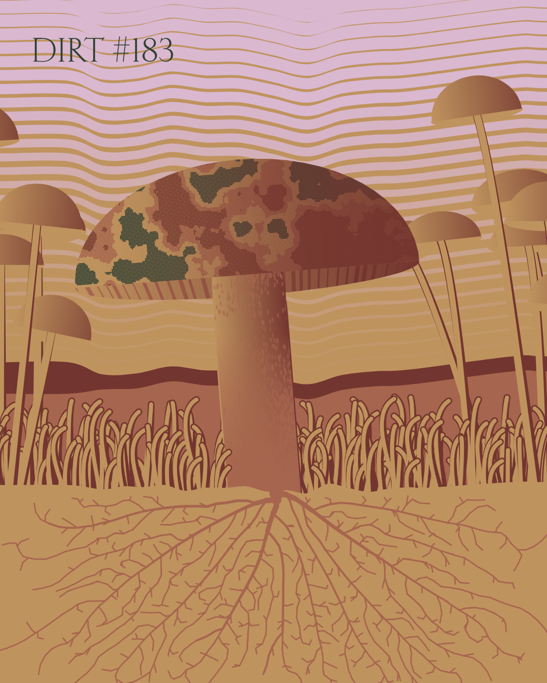 Dirt Founder #183