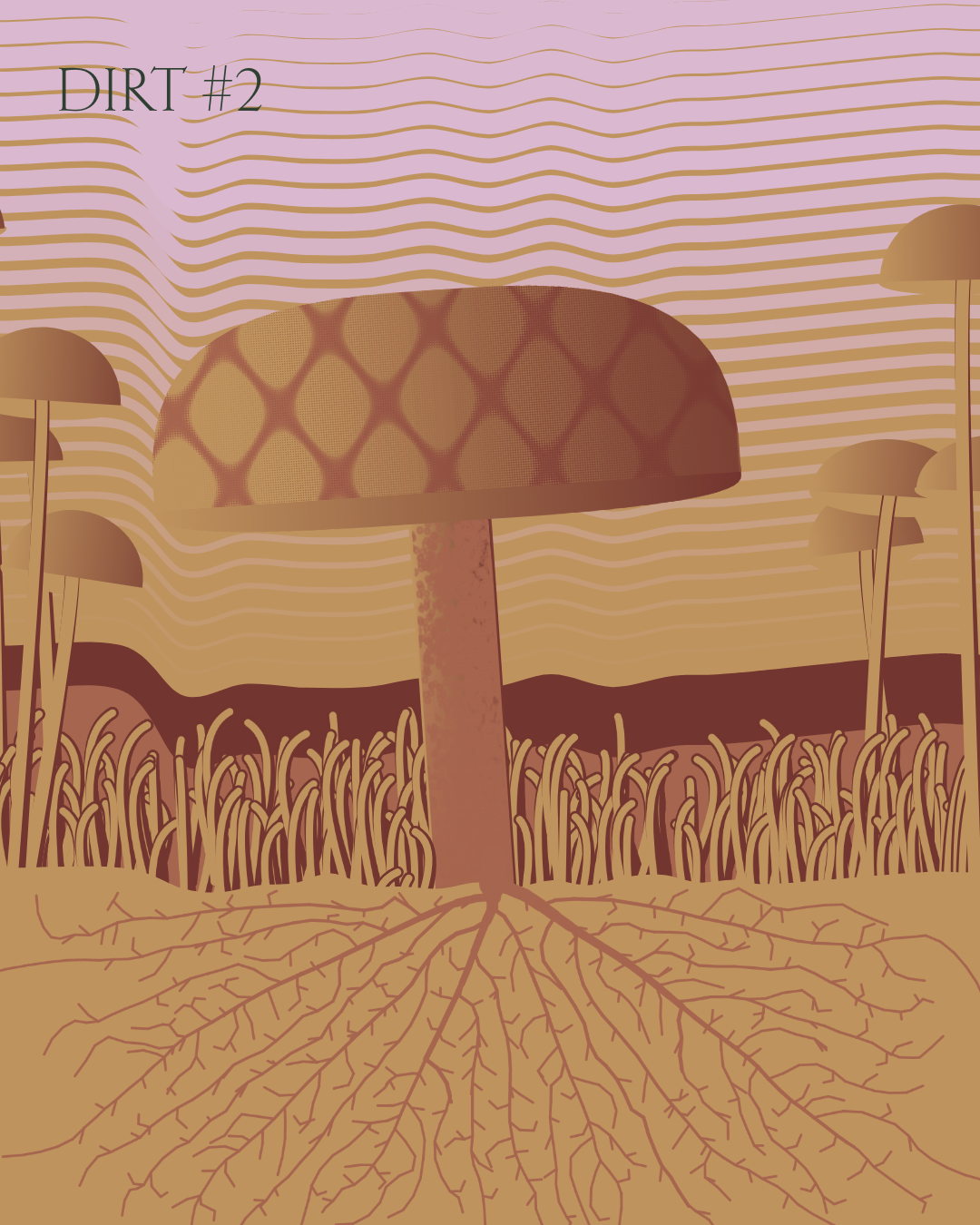 Dirt Founder #2