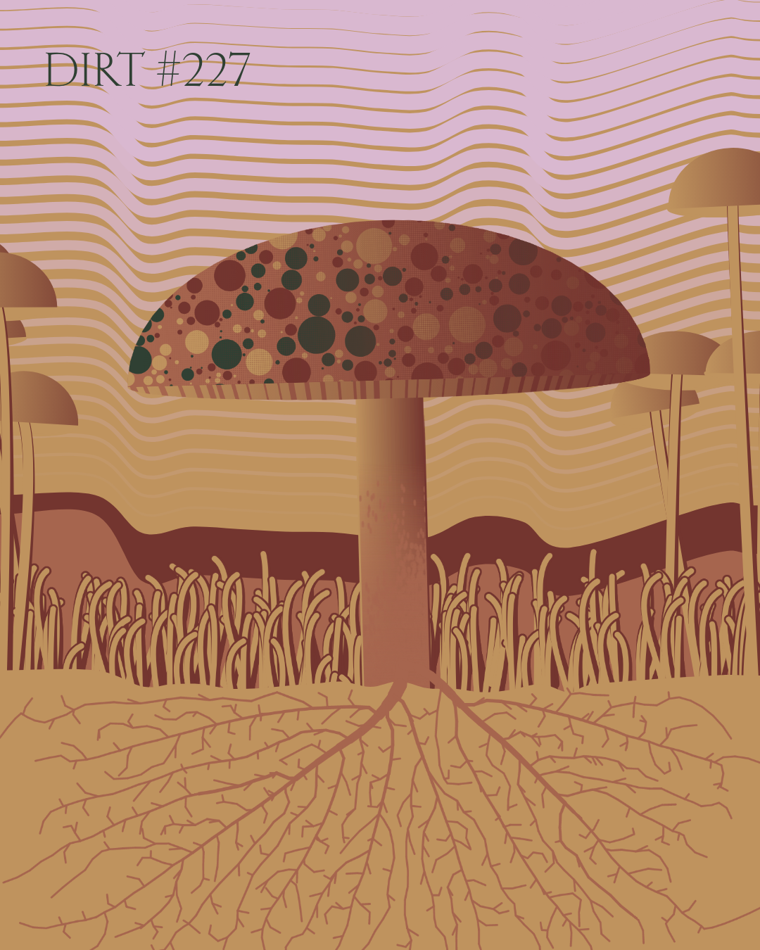 Dirt Founder #227