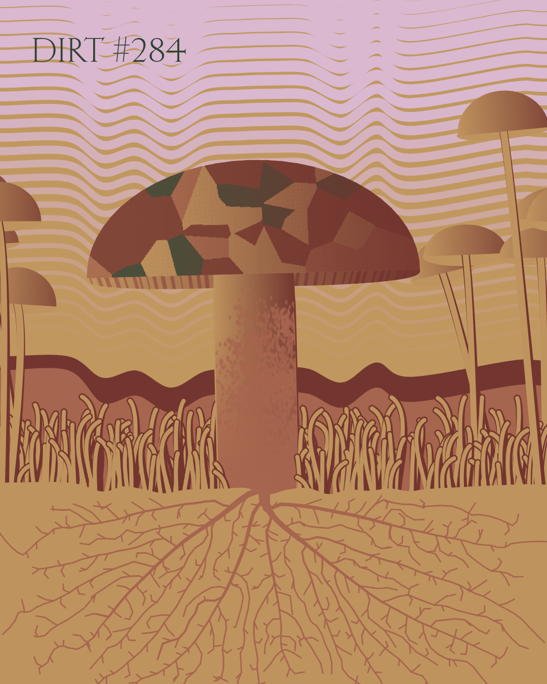 Dirt Founder #284