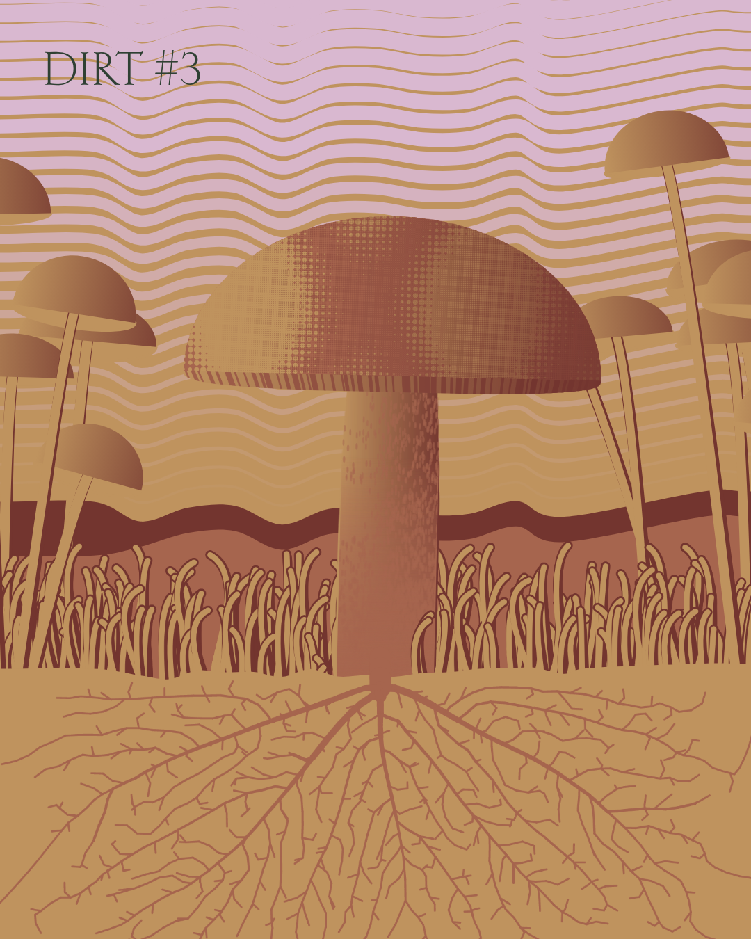 Dirt Founder #3
