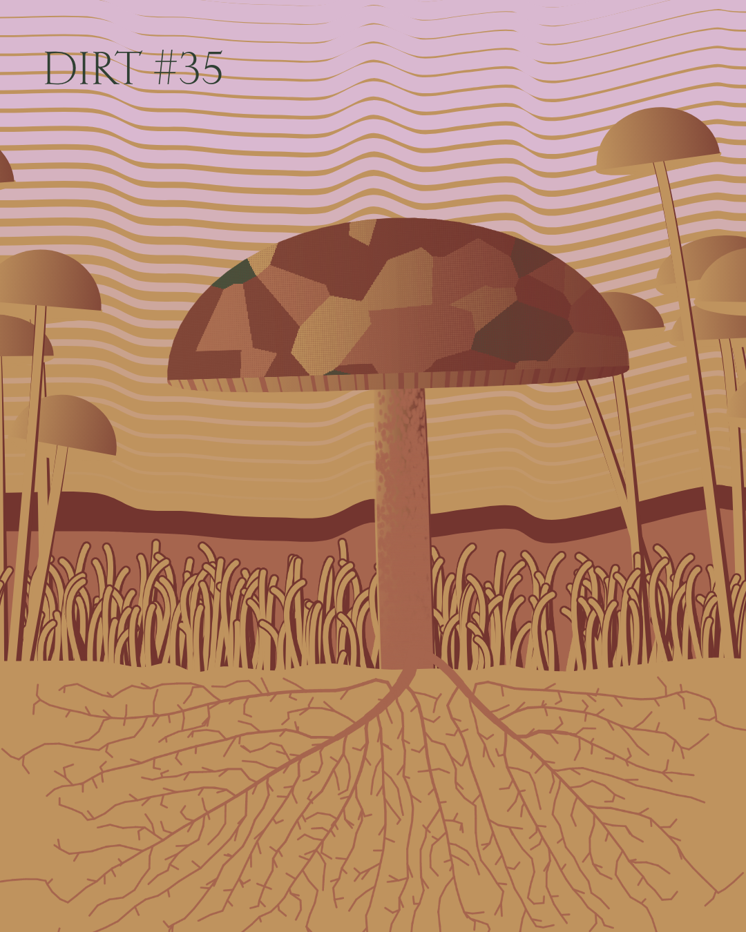 Dirt Founder #35