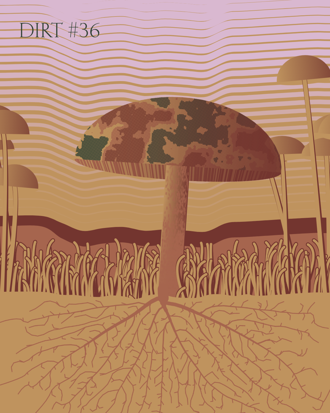 Dirt Founder #36