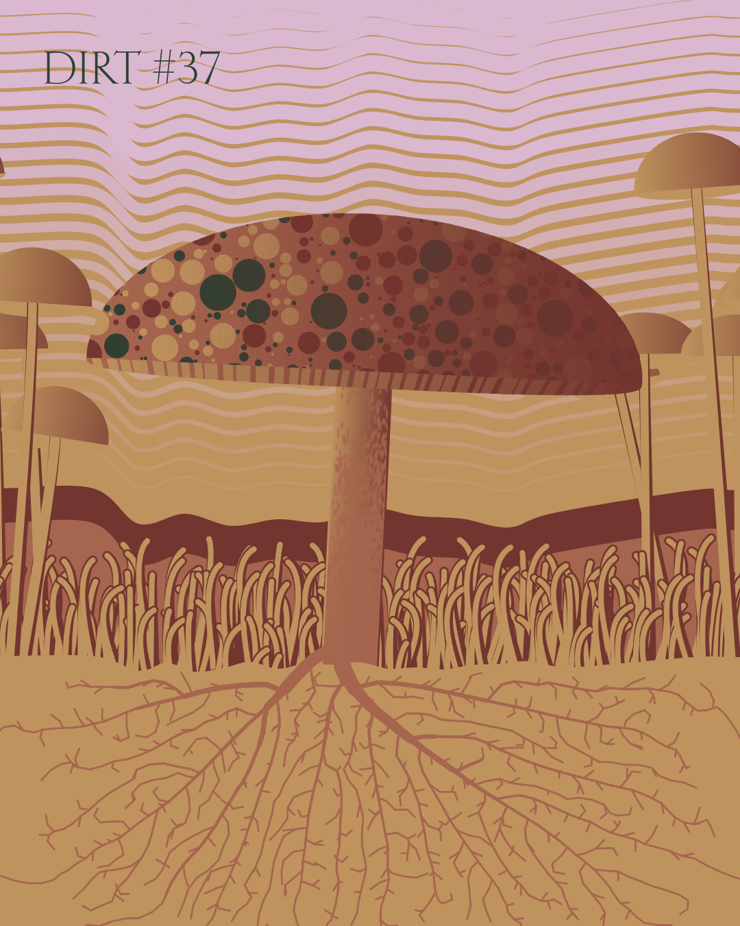 Dirt Founder #37