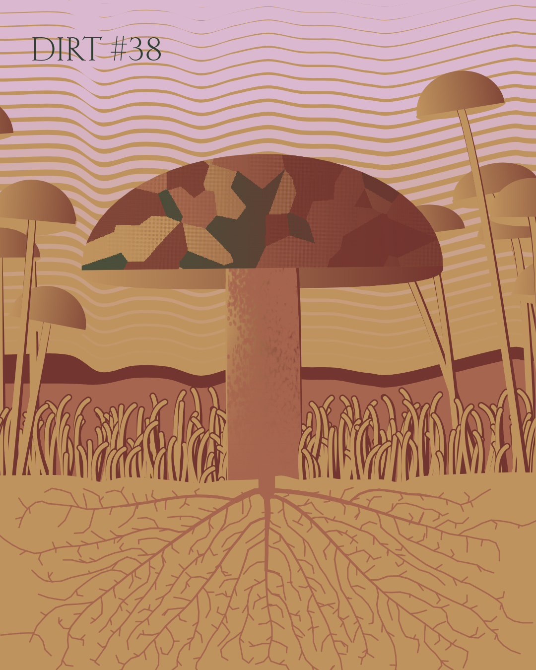 Dirt Founder #38