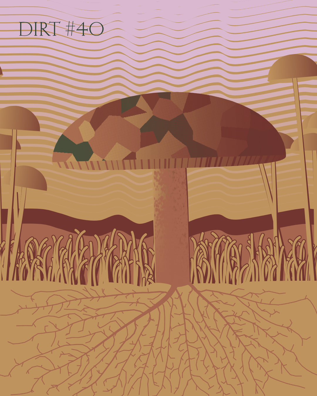 Dirt Founder #40