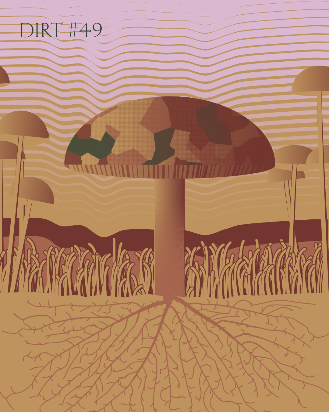 Dirt Founder #49