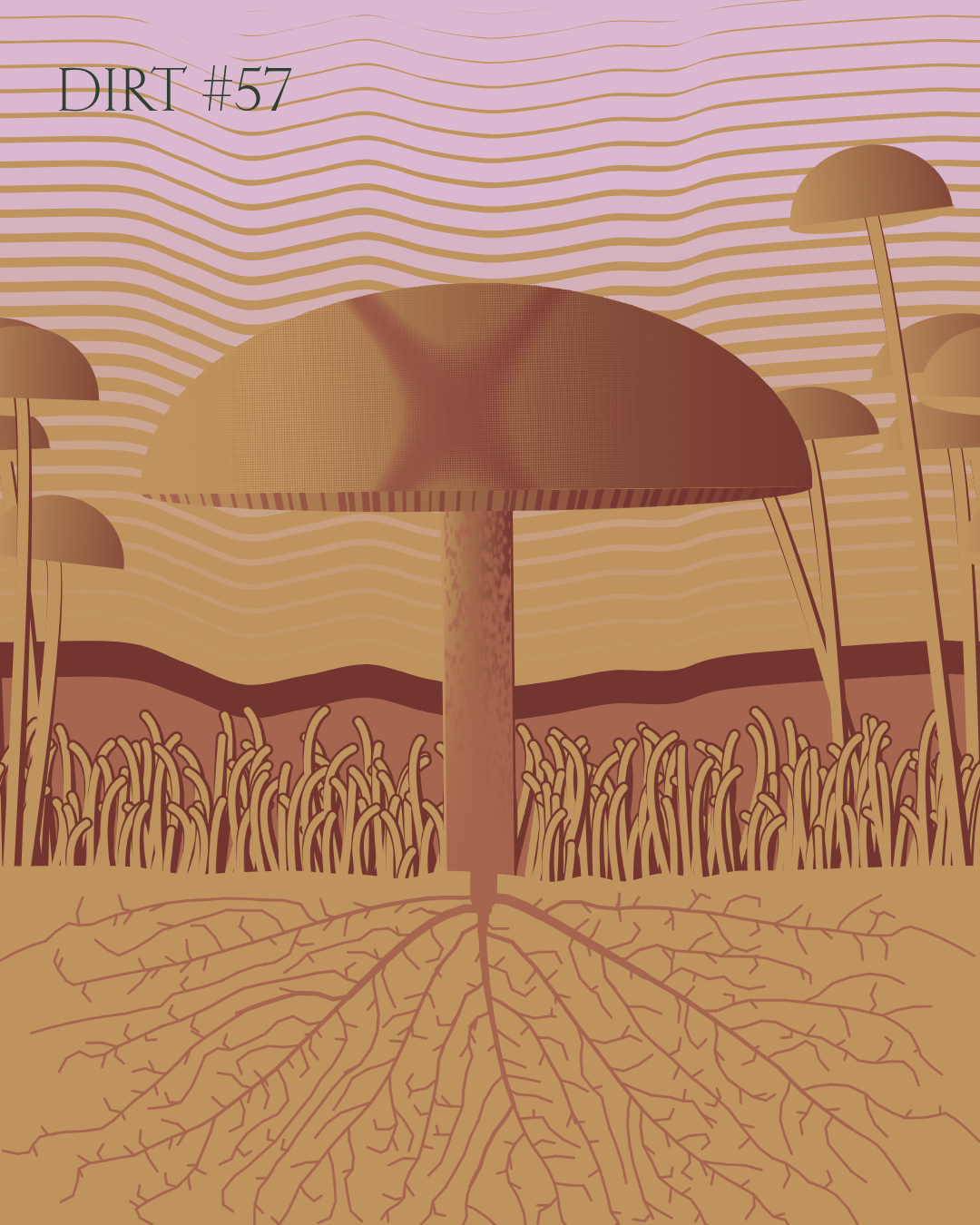 Dirt Founder #57