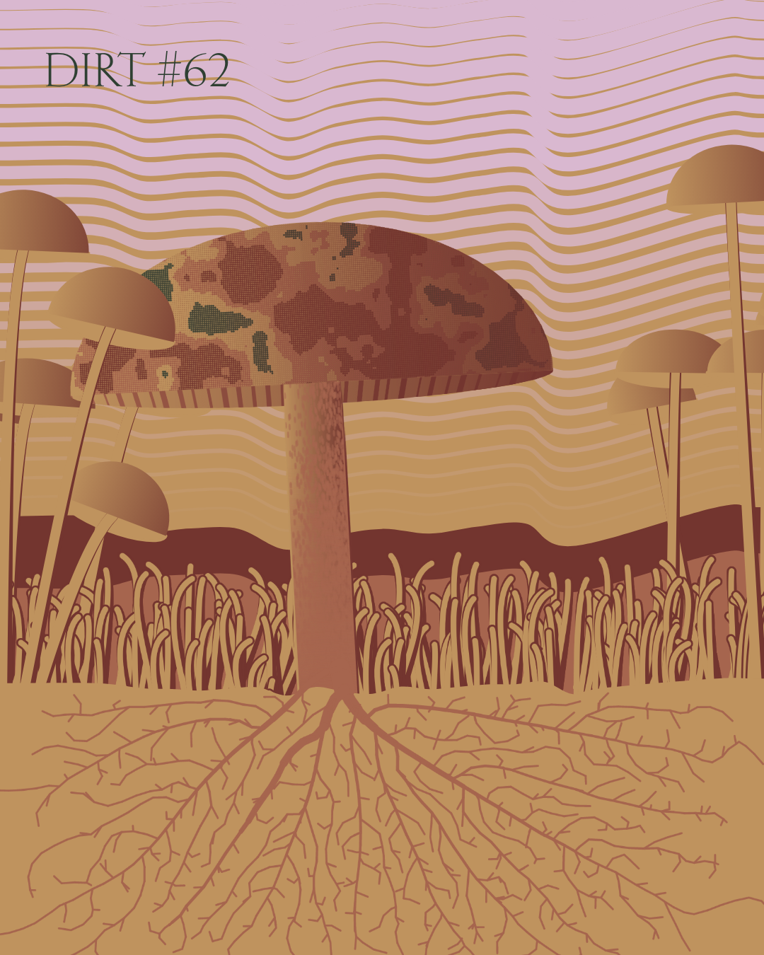 Dirt Founder #62
