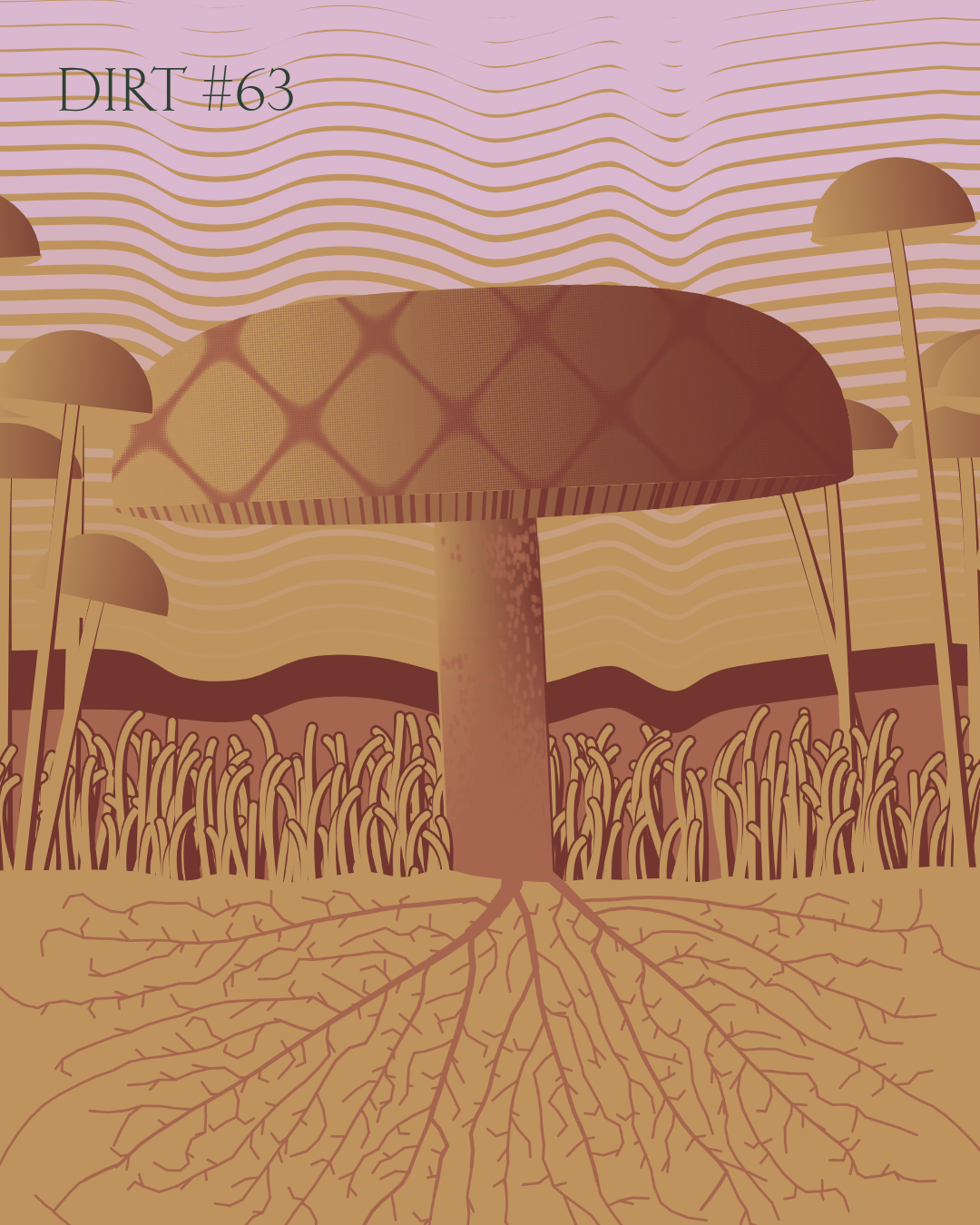 Dirt Founder #63