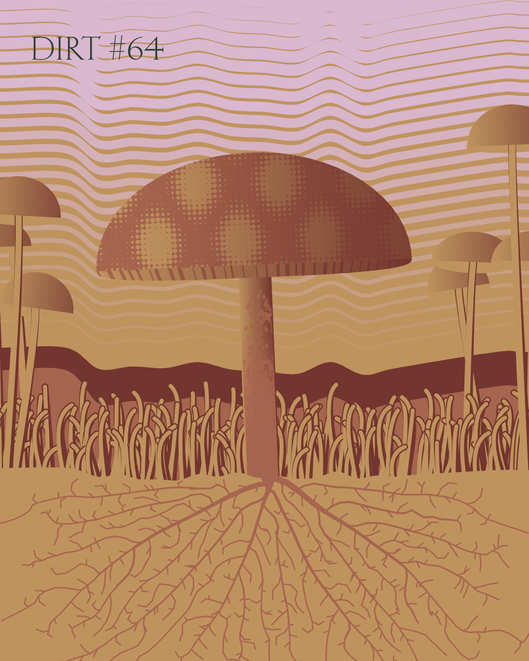 Dirt Founder #64