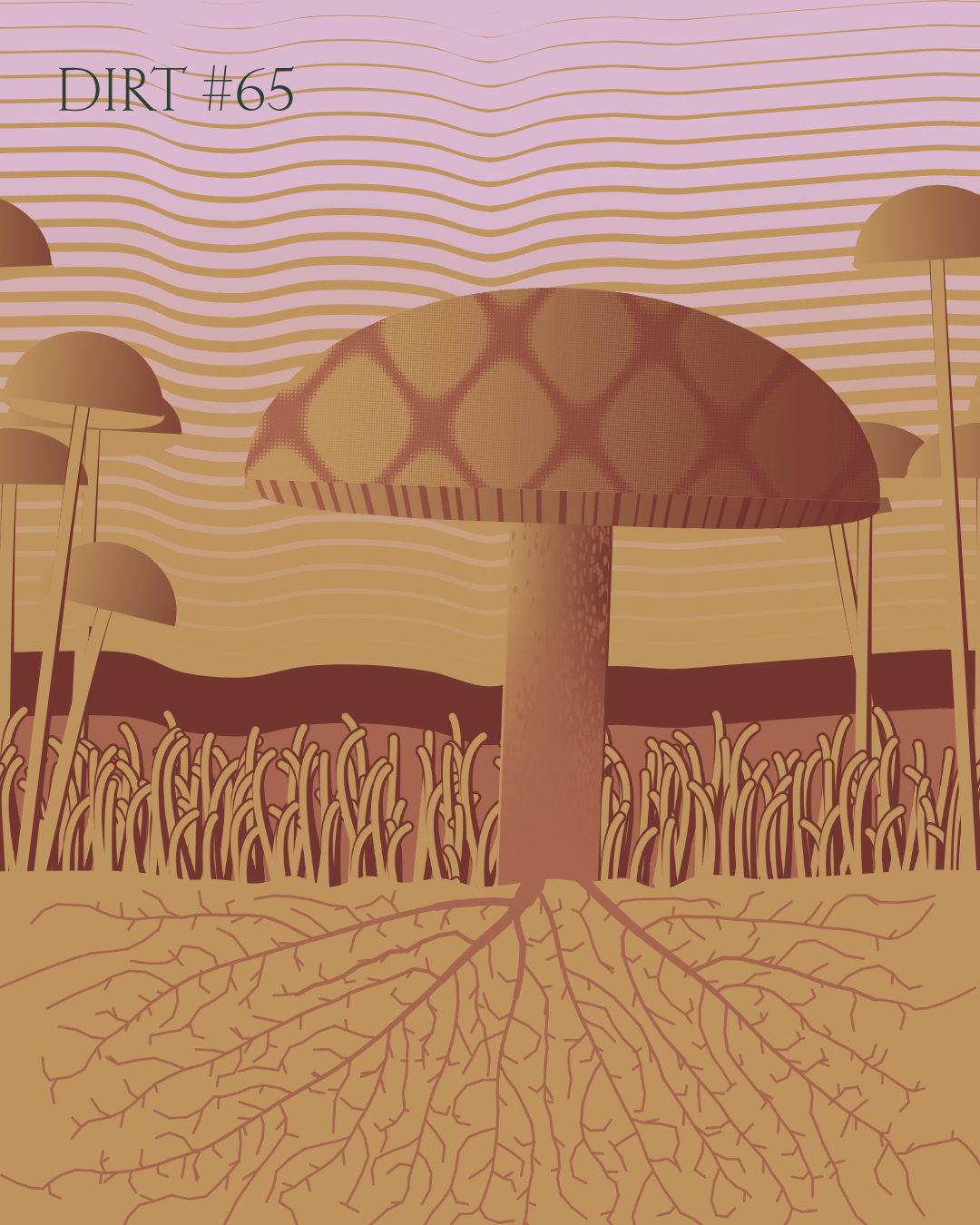 Dirt Founder #65