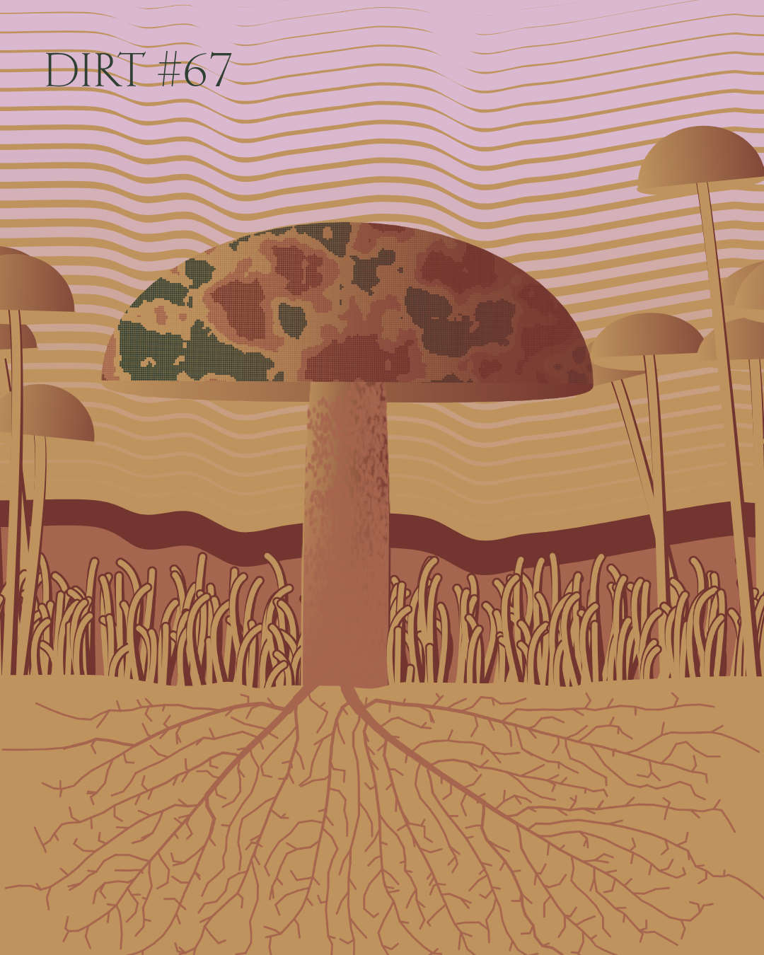 Dirt Founder #67