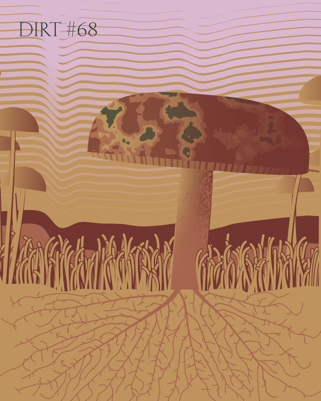 Dirt Founder #68