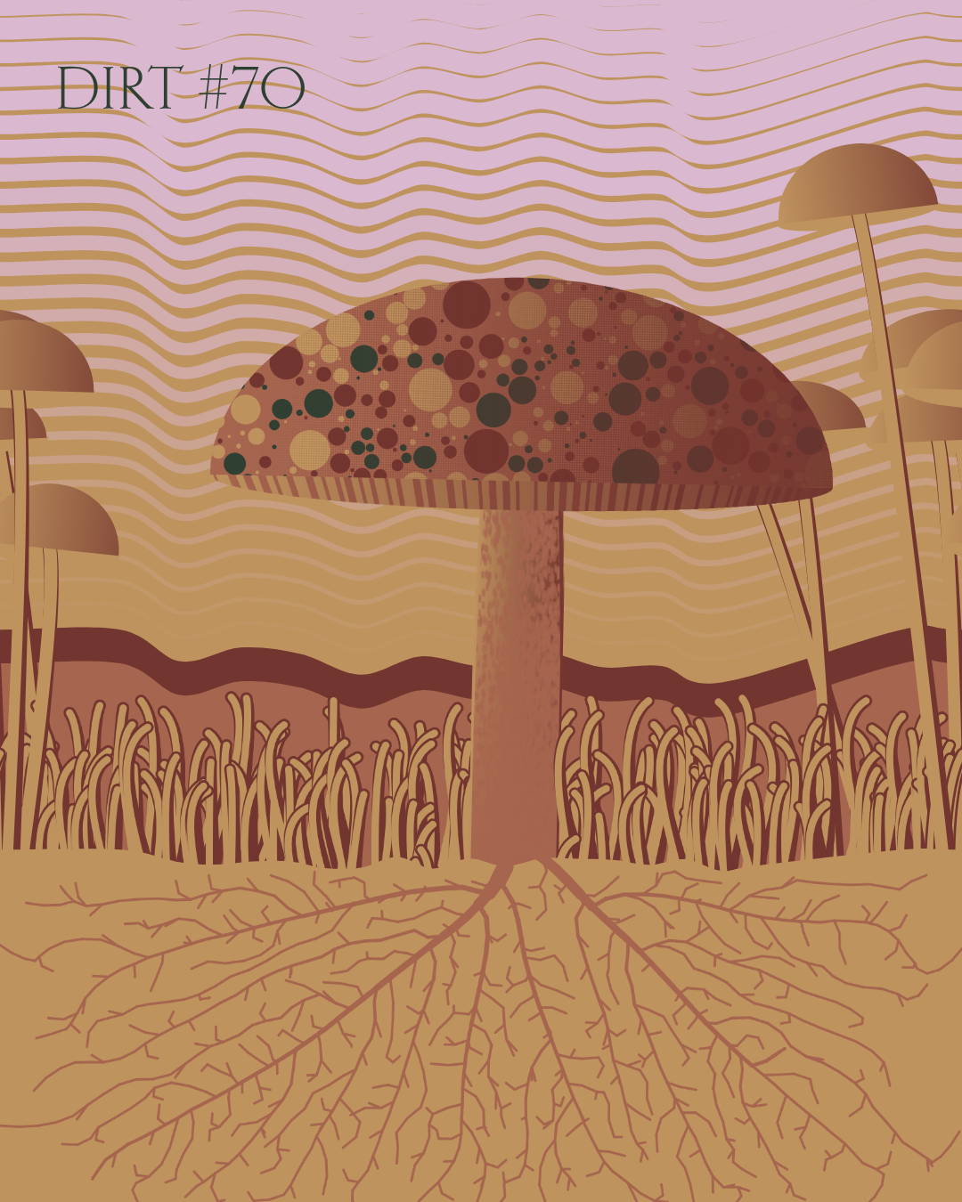 Dirt Founder #70